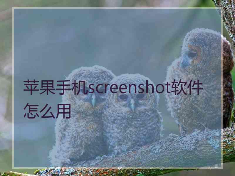 苹果手机screenshot软件怎么用