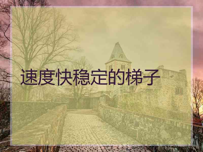 速度快稳定的梯子