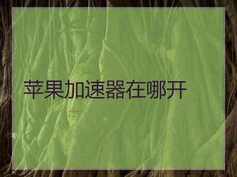 苹果加速器在哪开