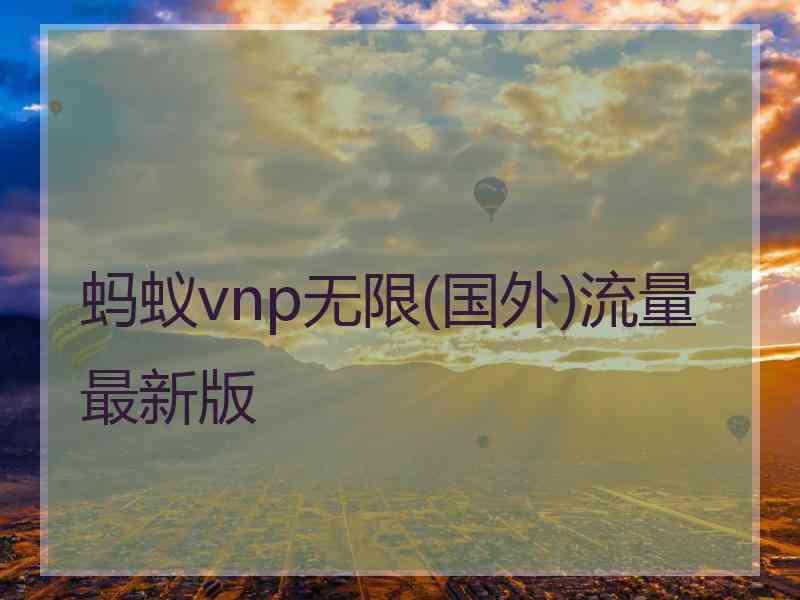 蚂蚁vnp无限(国外)流量最新版