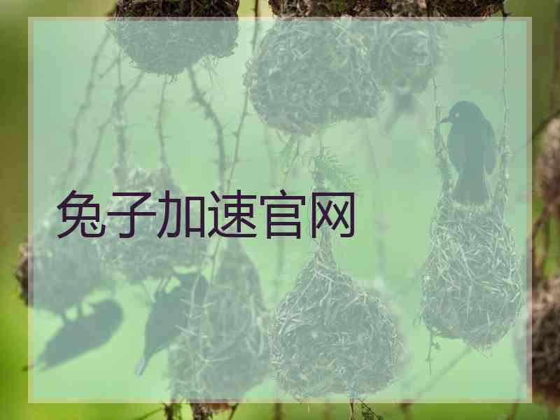 兔子加速官网