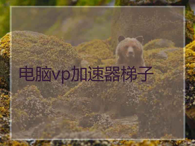 电脑vp加速器梯子