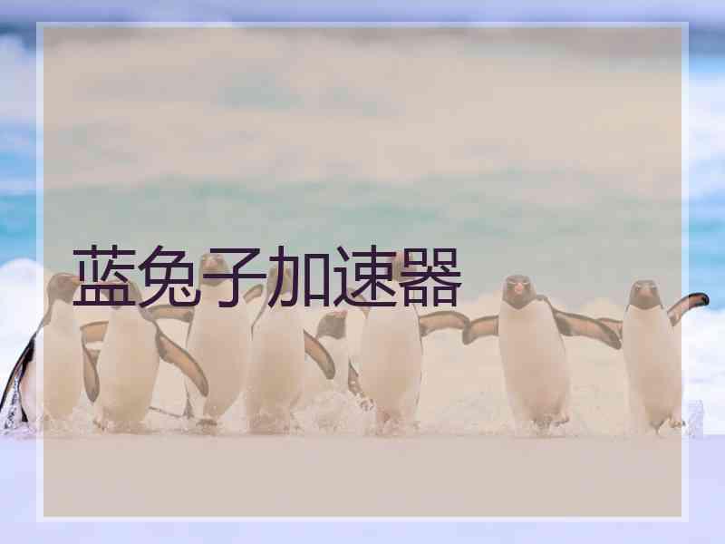 蓝兔子加速器