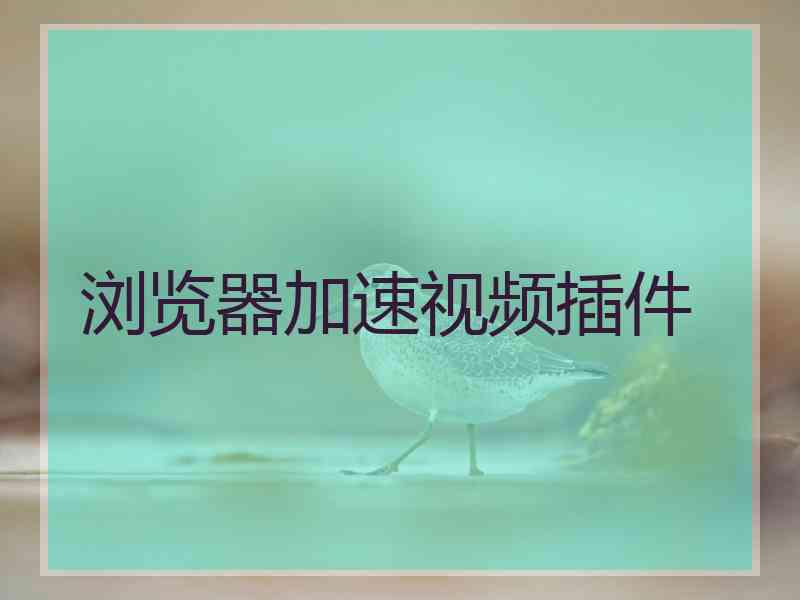 浏览器加速视频插件