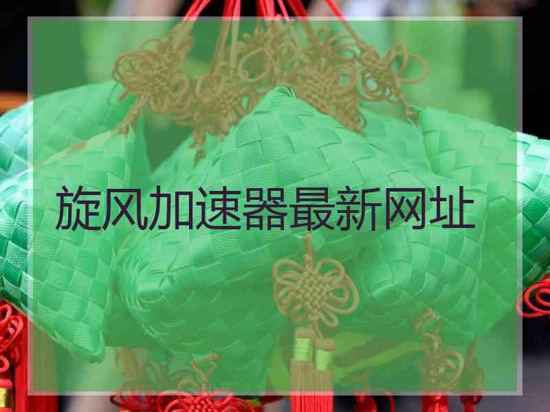 旋风加速器最新网址