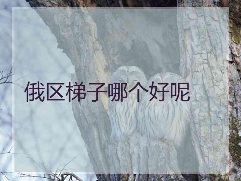 俄区梯子哪个好呢