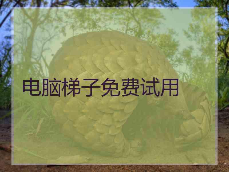 电脑梯子免费试用