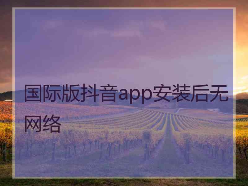 国际版抖音app安装后无网络