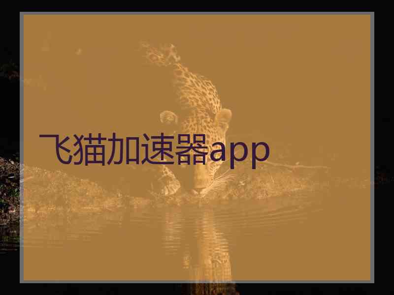 飞猫加速器app