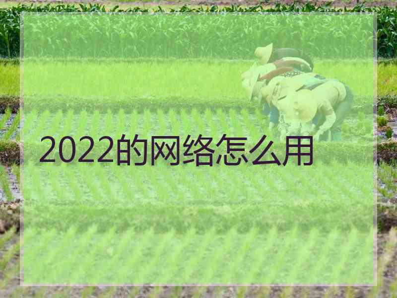 2022的网络怎么用