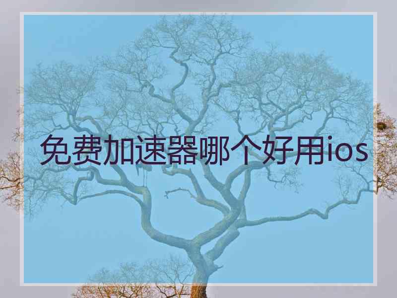 免费加速器哪个好用ios