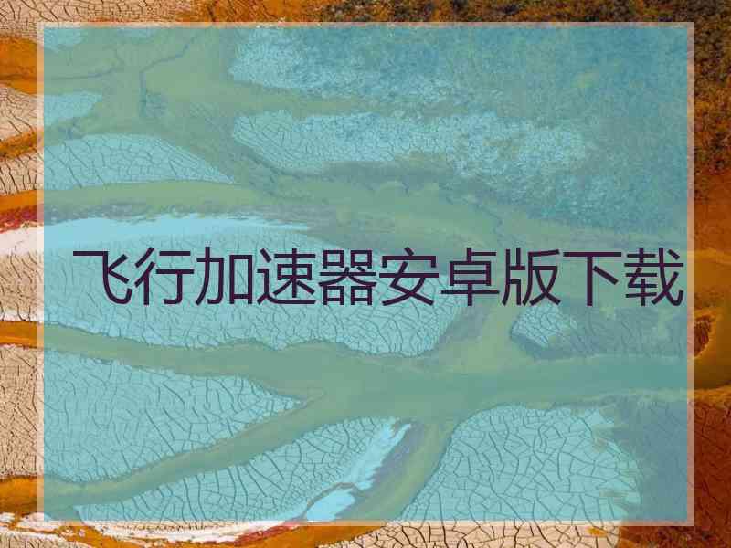 飞行加速器安卓版下载