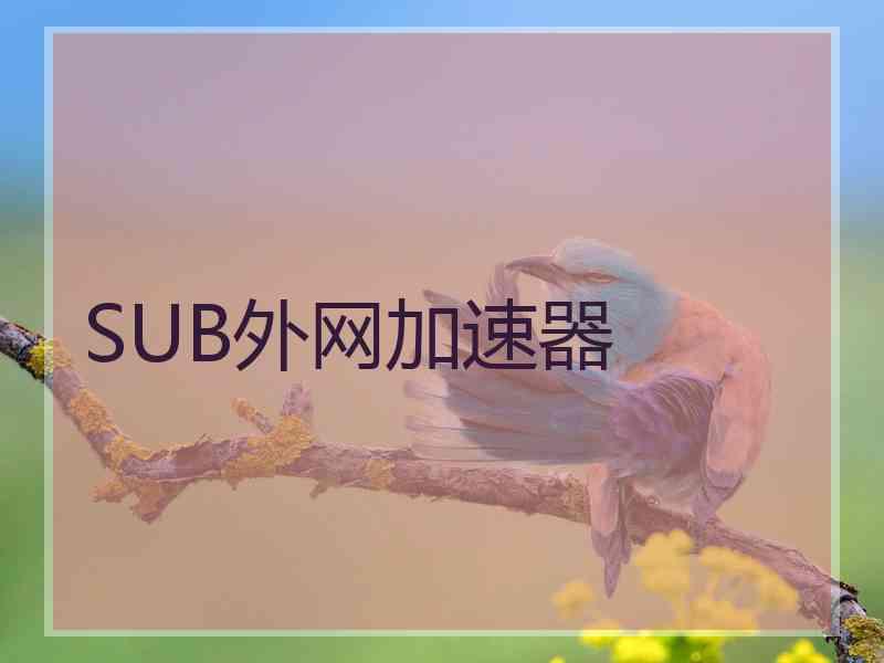 SUB外网加速器