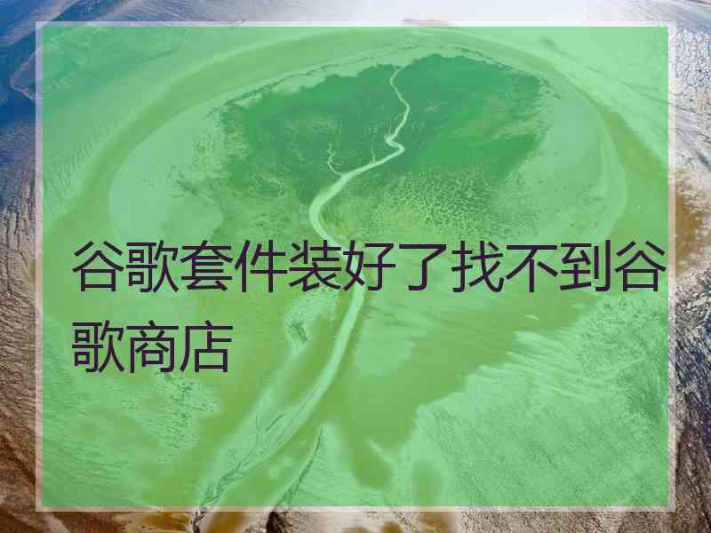 谷歌套件装好了找不到谷歌商店