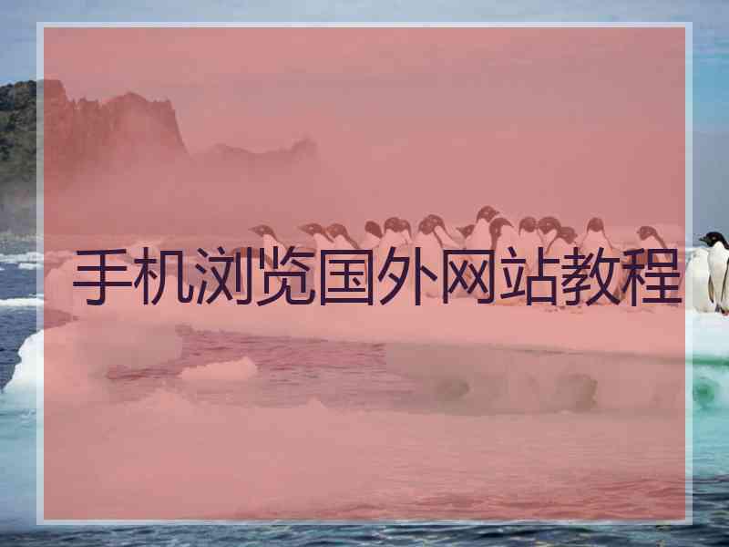 手机浏览国外网站教程