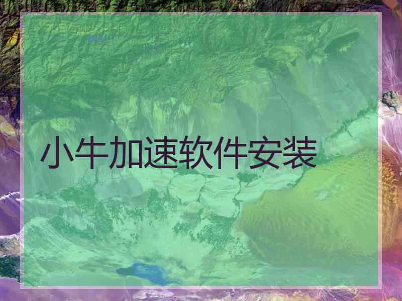 小牛加速软件安装