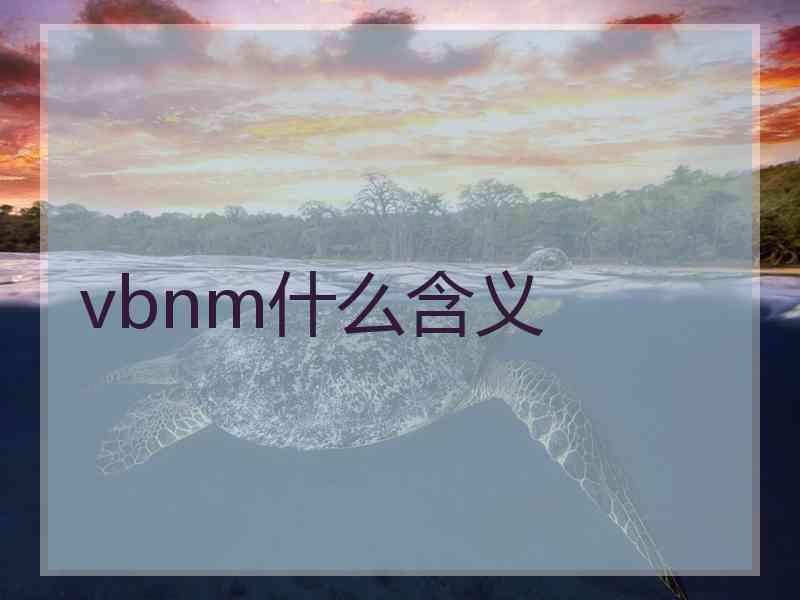 vbnm什么含义