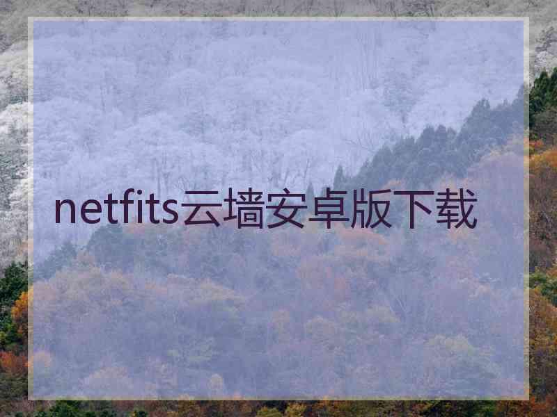 netfits云墙安卓版下载