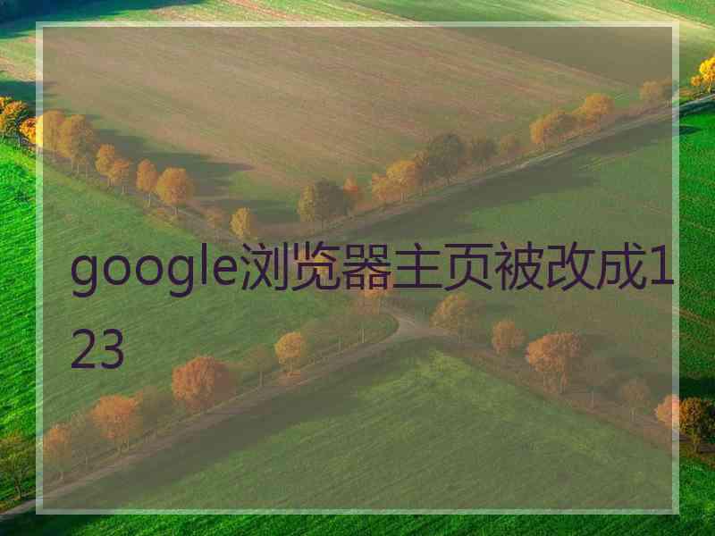 google浏览器主页被改成123