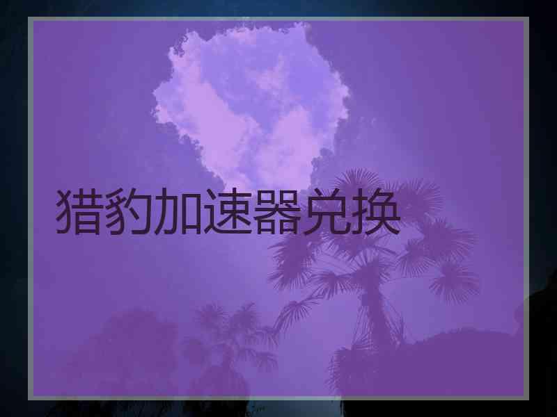 猎豹加速器兑换