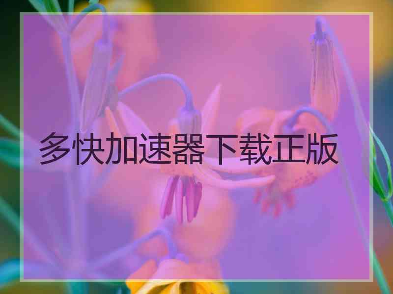 多快加速器下载正版