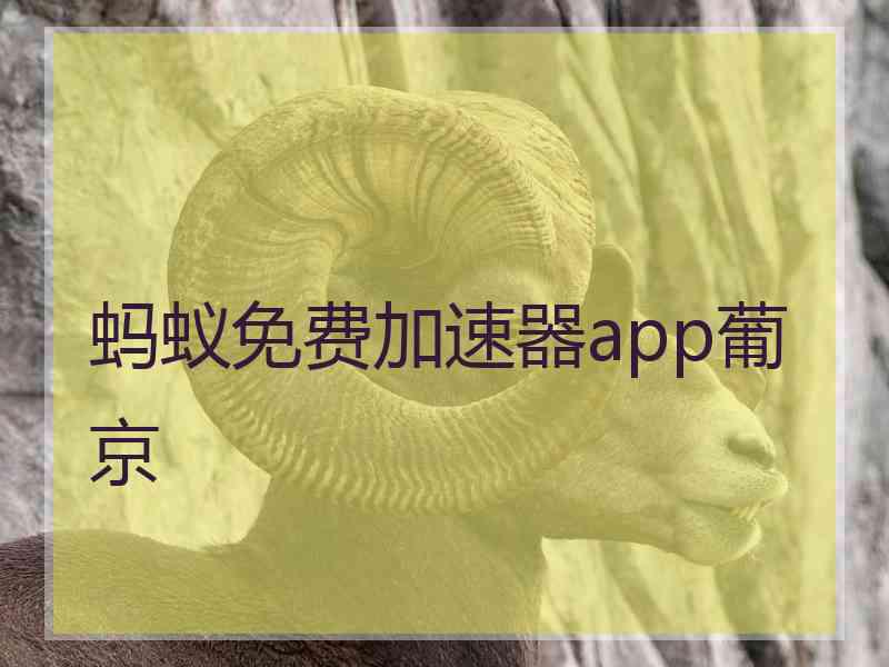 蚂蚁免费加速器app葡京