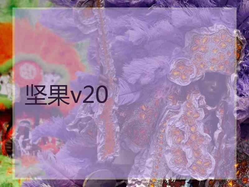 坚果v20