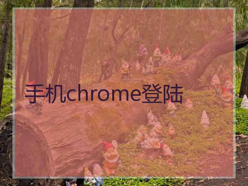 手机chrome登陆