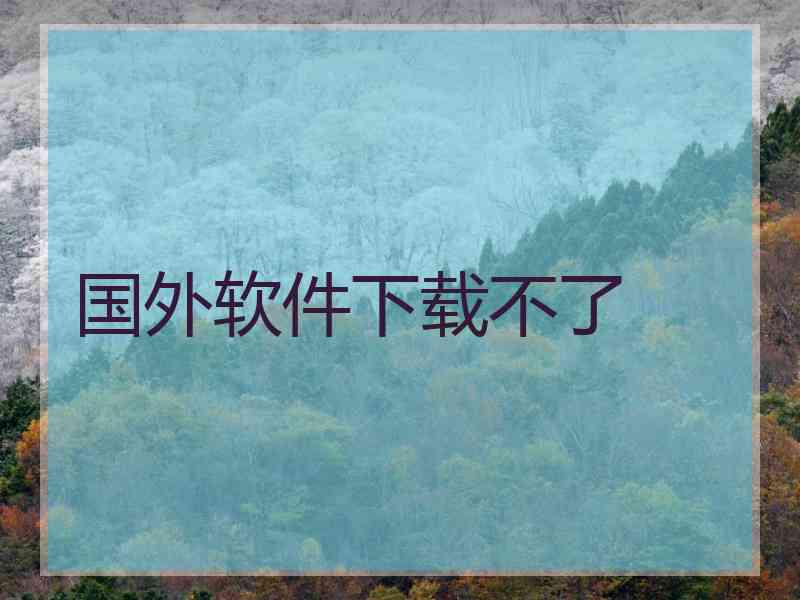 国外软件下载不了