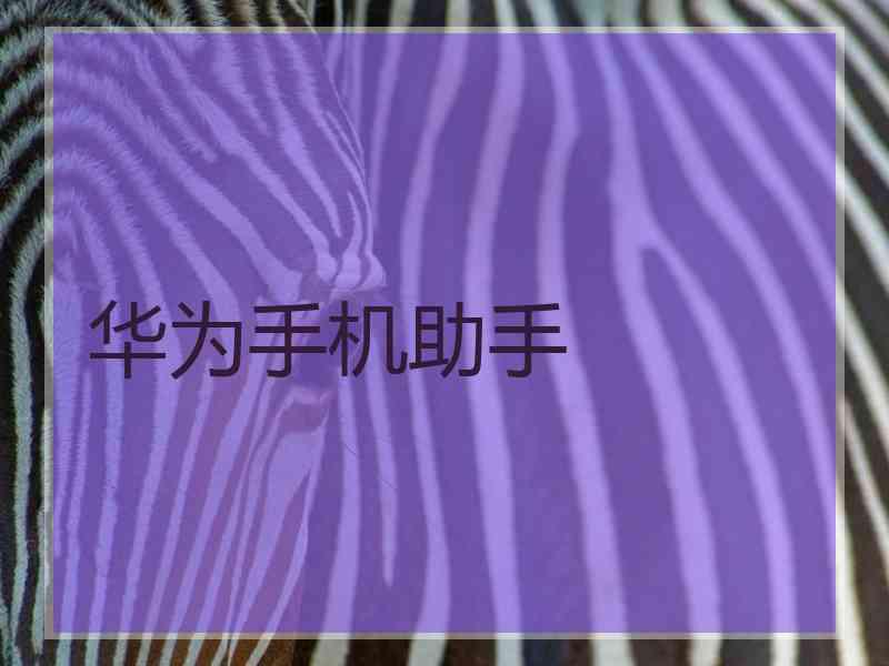 华为手机助手