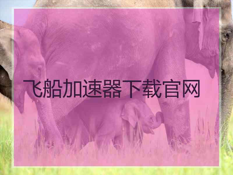 飞船加速器下载官网