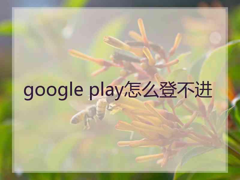 google play怎么登不进