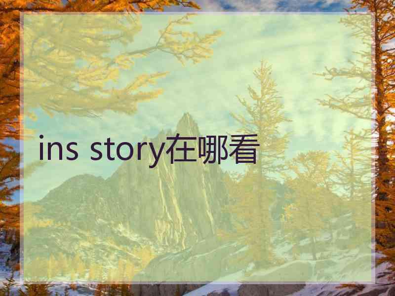 ins story在哪看