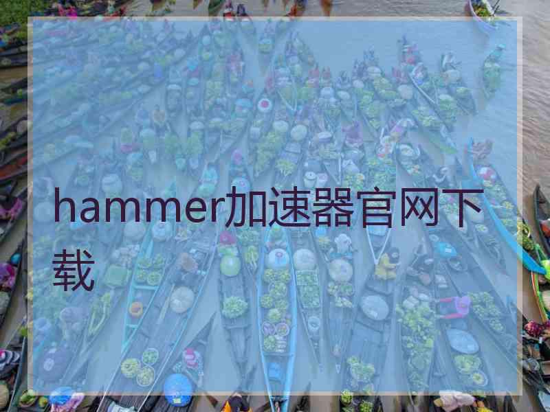 hammer加速器官网下载