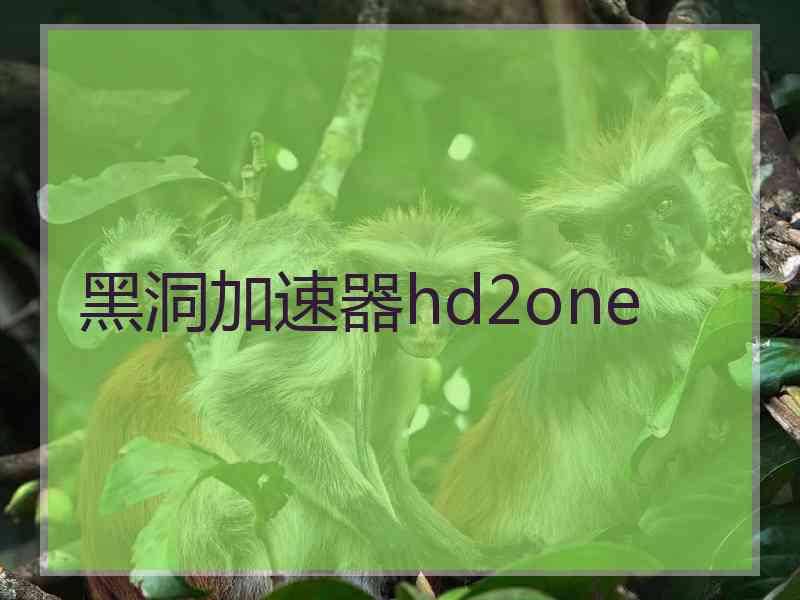 黑洞加速器hd2one