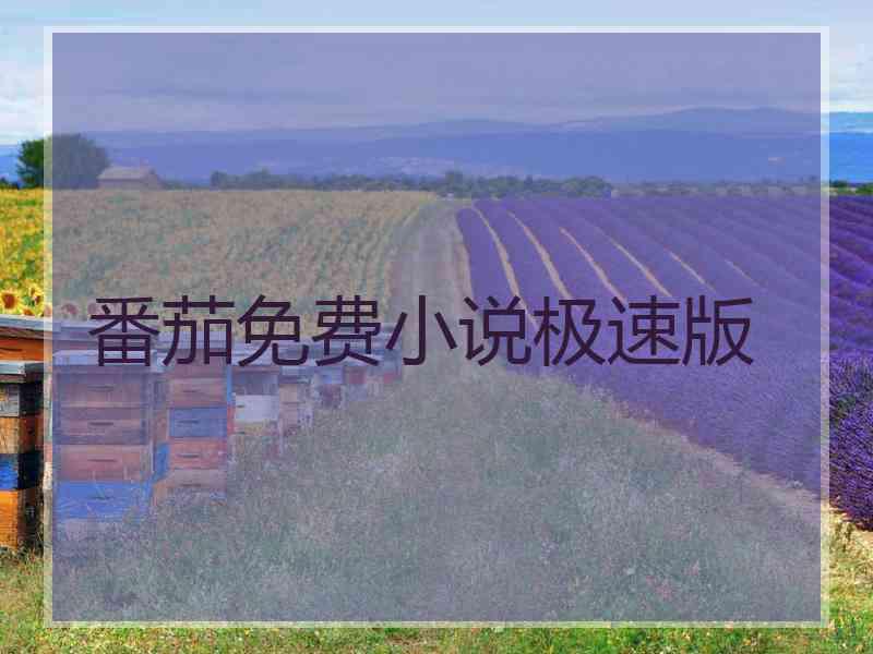 番茄免费小说极速版