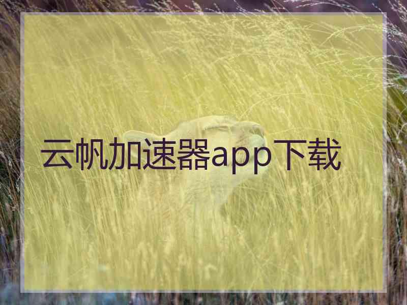云帆加速器app下载