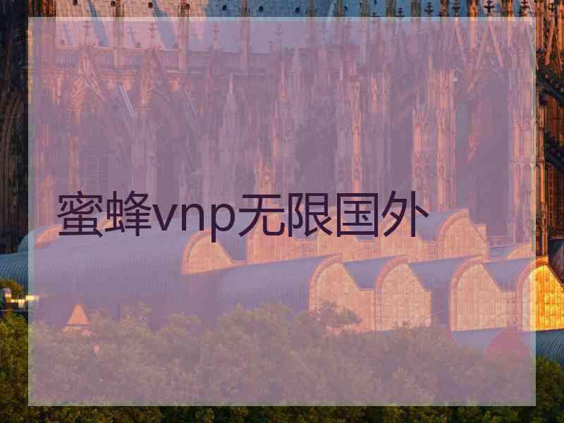 蜜蜂vnp无限国外