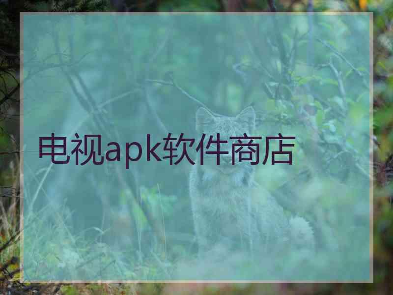 电视apk软件商店