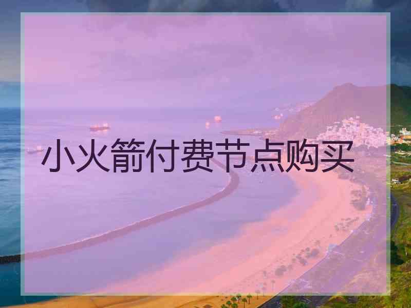 小火箭付费节点购买