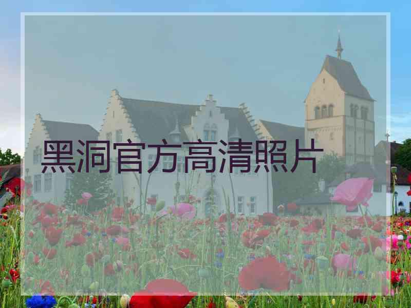 黑洞官方高清照片