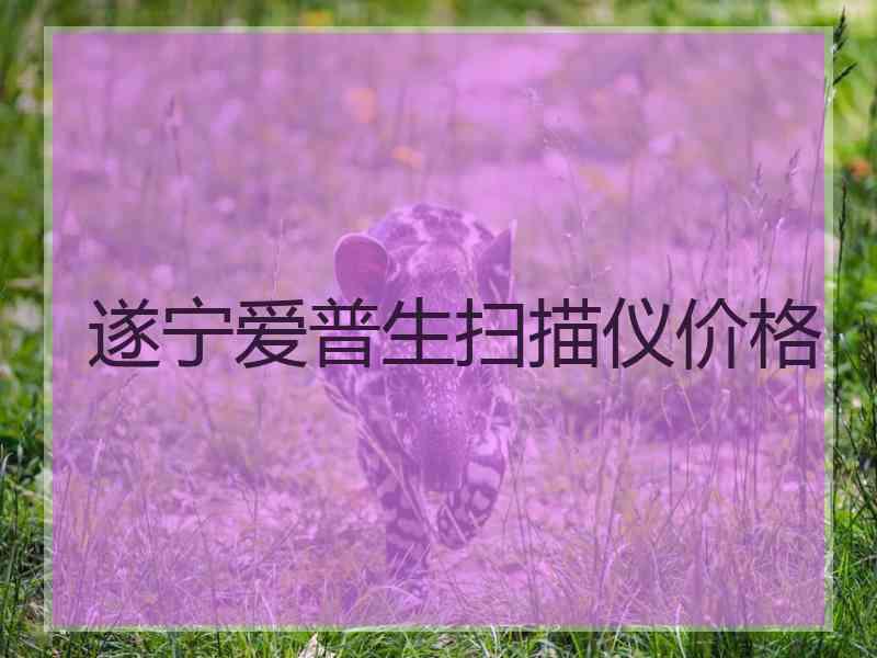遂宁爱普生扫描仪价格