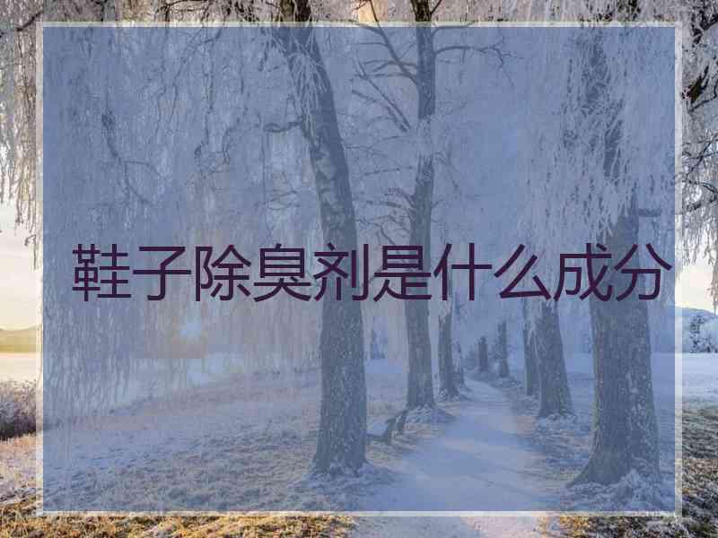 鞋子除臭剂是什么成分