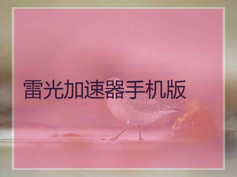 雷光加速器手机版