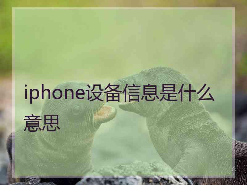 iphone设备信息是什么意思