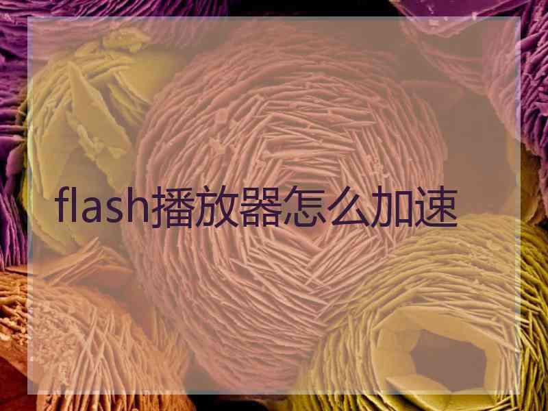 flash播放器怎么加速