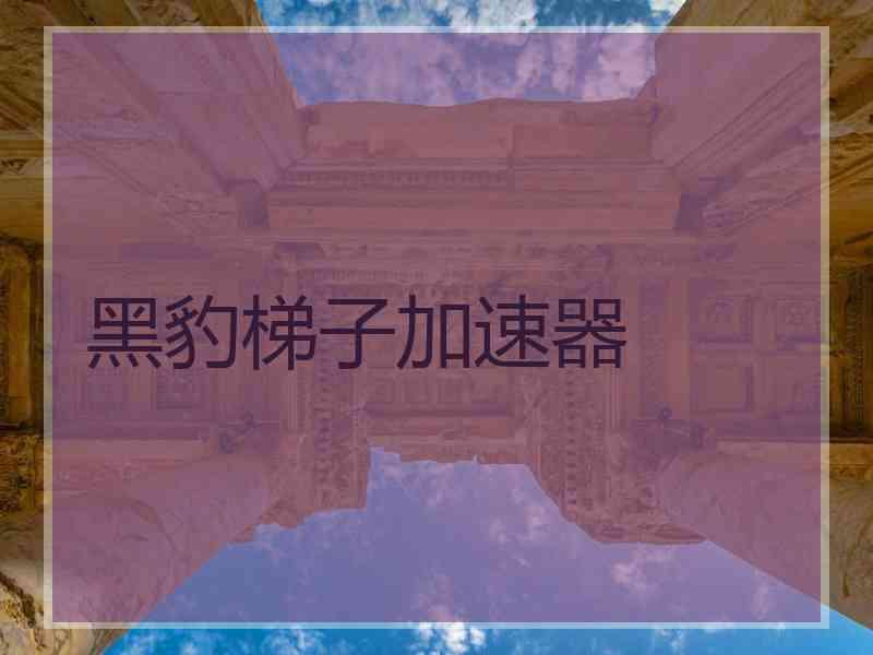 黑豹梯子加速器