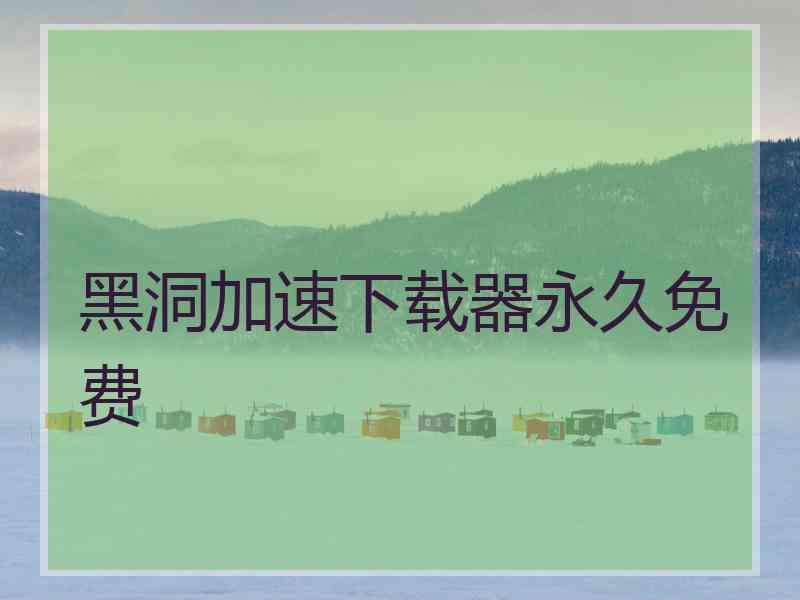 黑洞加速下载器永久免费