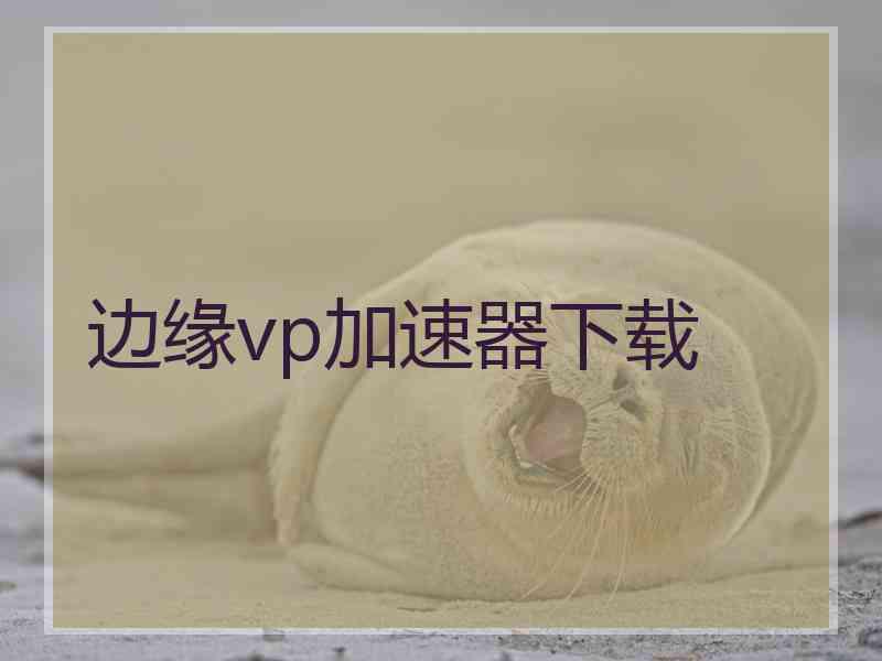 边缘vp加速器下载