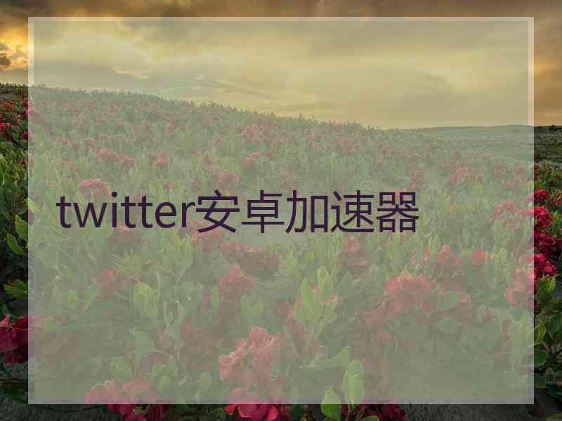 twitter安卓加速器